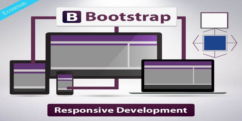 Web Design and Development