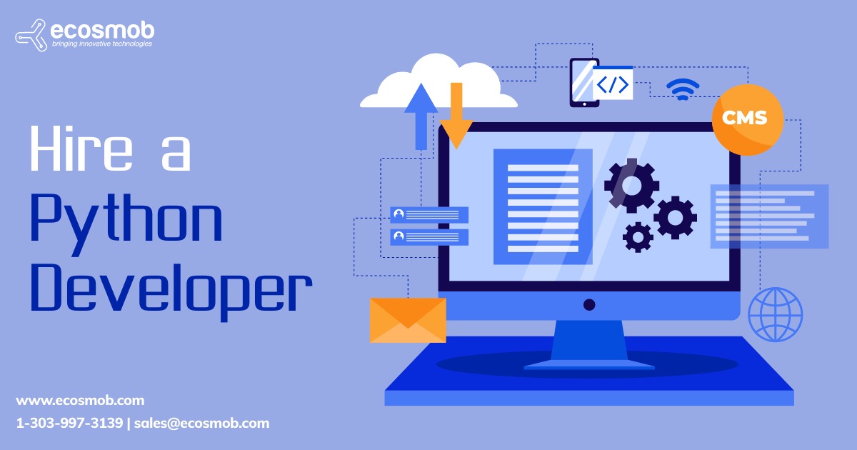 Hire a Python Developer